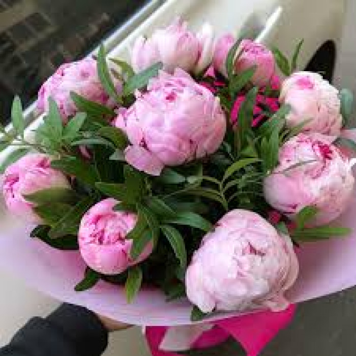 Пион древовидный в Уштобе