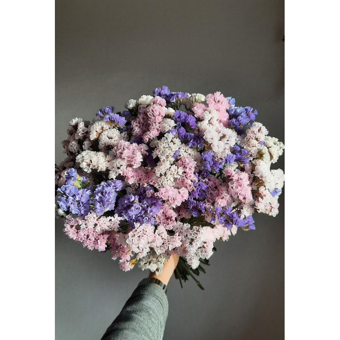 Статица (Лимониум) в Уштобе