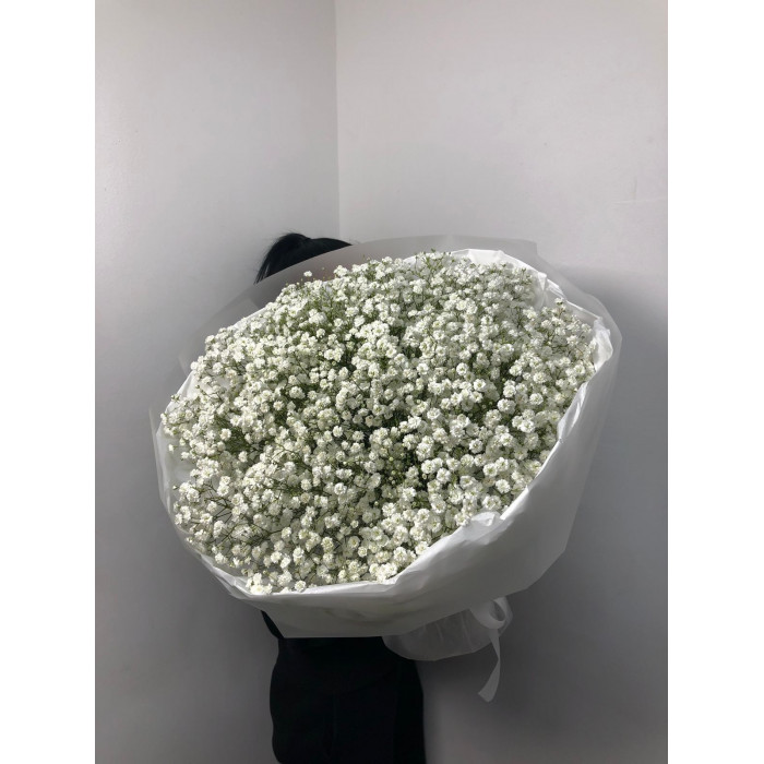 Гипсофила классическая в Уштобе