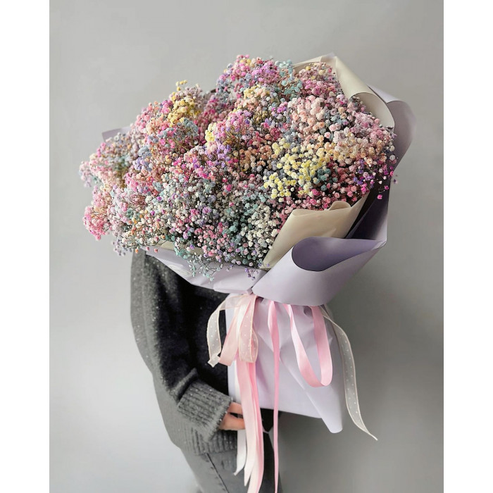 Гипсофила цветная в Уштобе