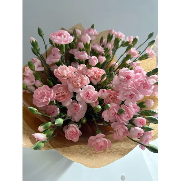 Кустовые гвоздики в Уштобе