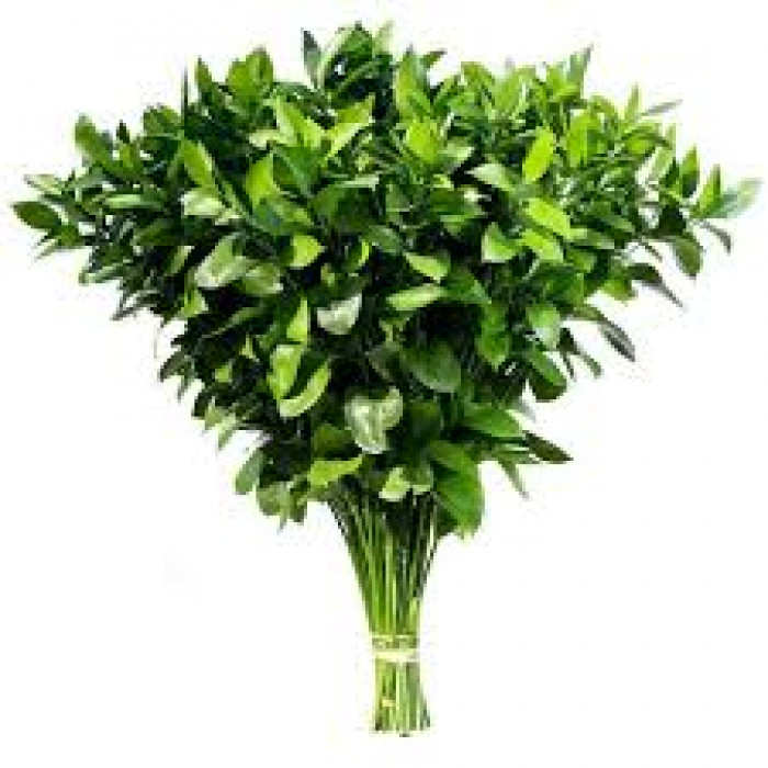 Рускус в Уштобе