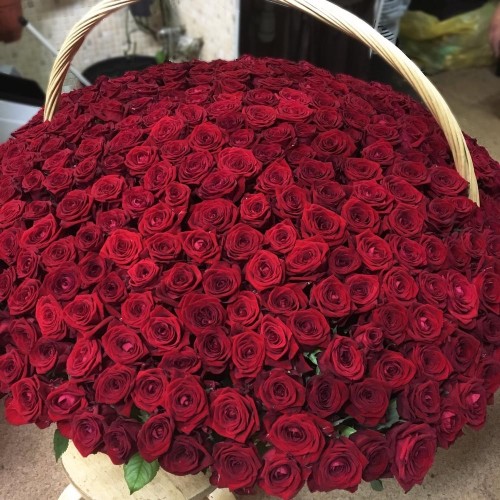 Купить на заказ 1001 роза с доставкой в Уштобе
