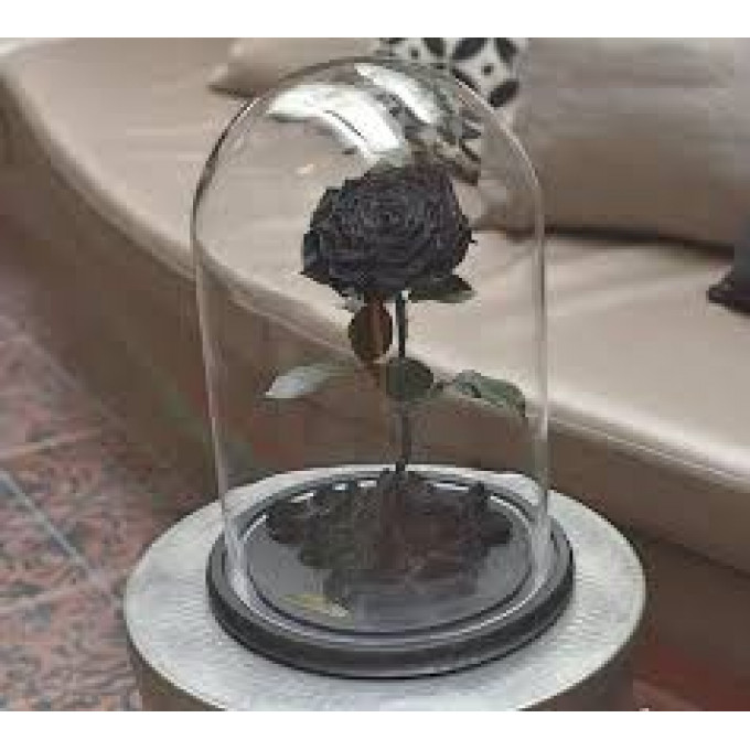 Роза в колбе черная Роза в колбе черная