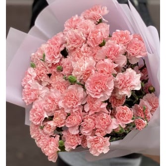 Букет из гвоздик (25 шт.)